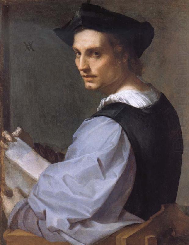Andrea del Sarto Portrait of a Young Man china oil painting image
